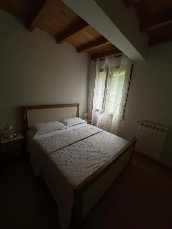 img_id_1667948.webp