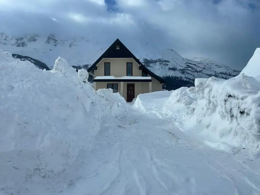 img_id_2448334.webp