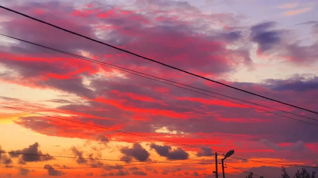 img_id_1186559.webp