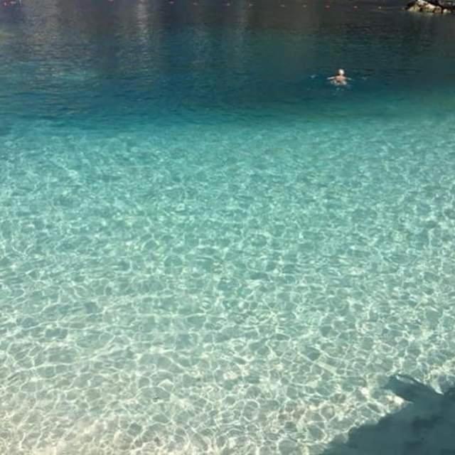 img_id_982998.jpg
