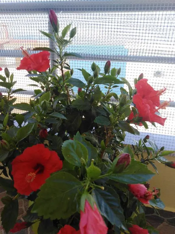 img_id_1185694.webp