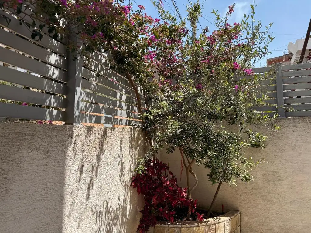 img_id_576973.webp