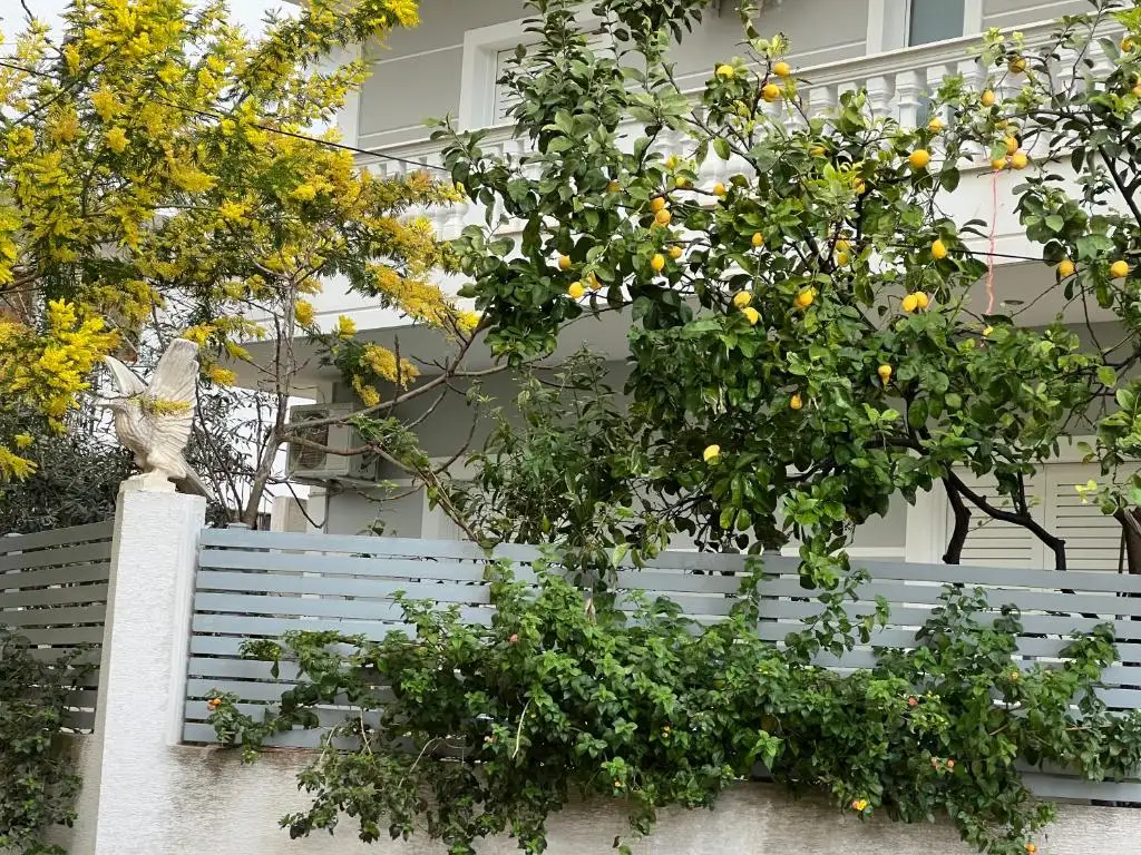 img_id_576976.webp