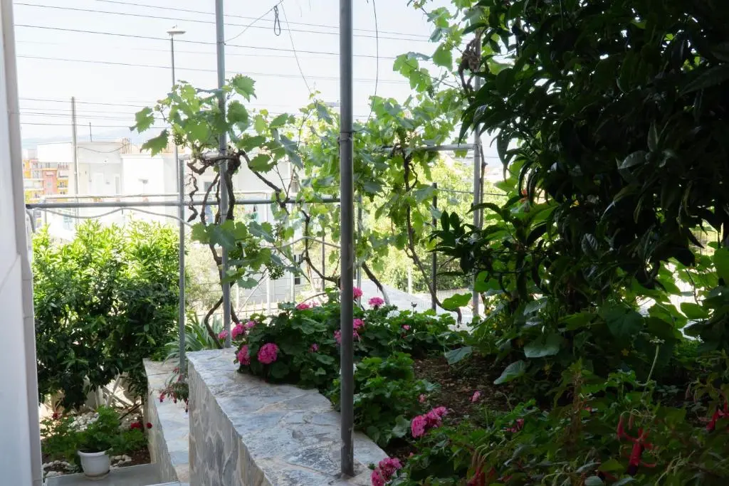 img_id_1185510.webp