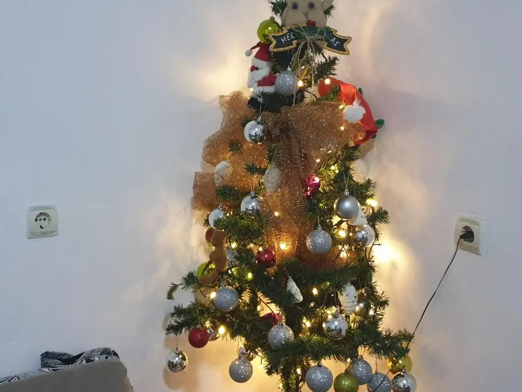 img_id_577963.webp