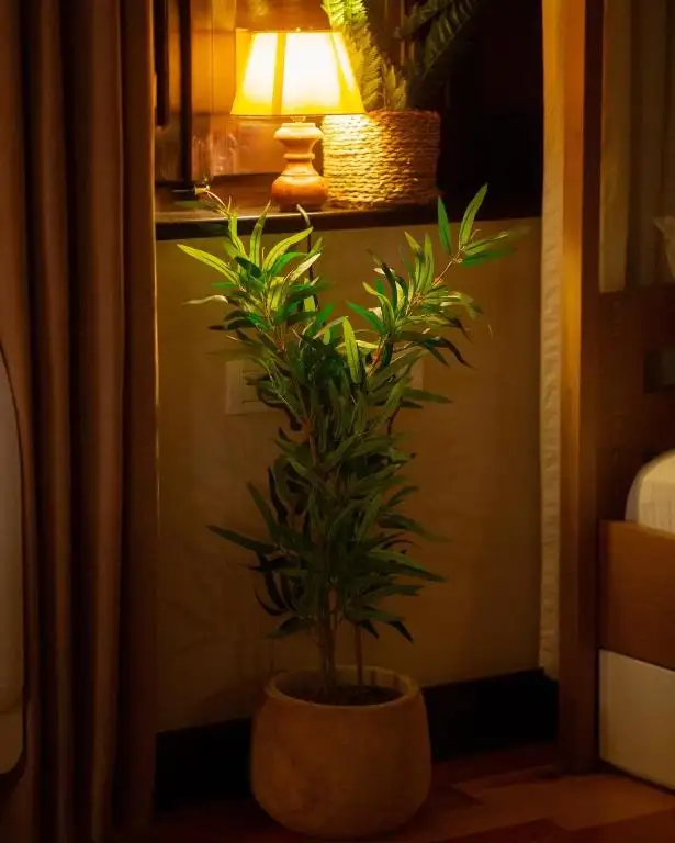 img_id_579175.webp