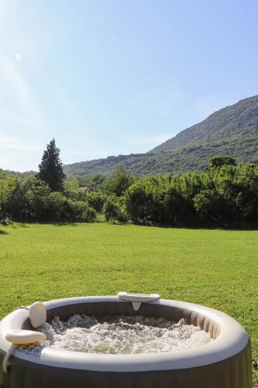 img_id_2446574.webp