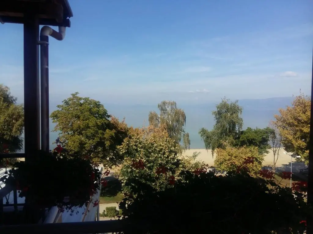 img_id_1644667.webp