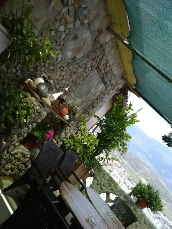 img_id_584710.webp