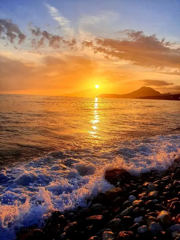 img_id_2446081.webp