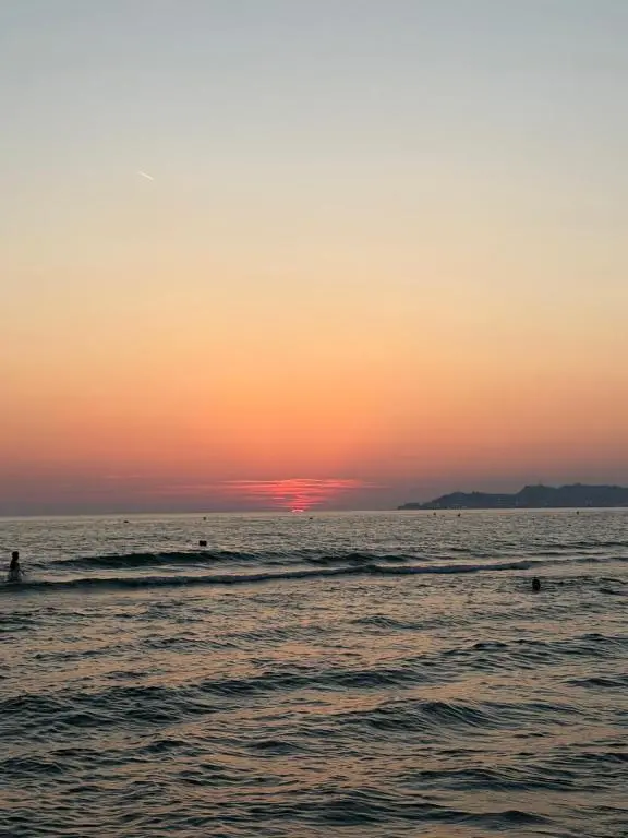 img_id_1728655.webp