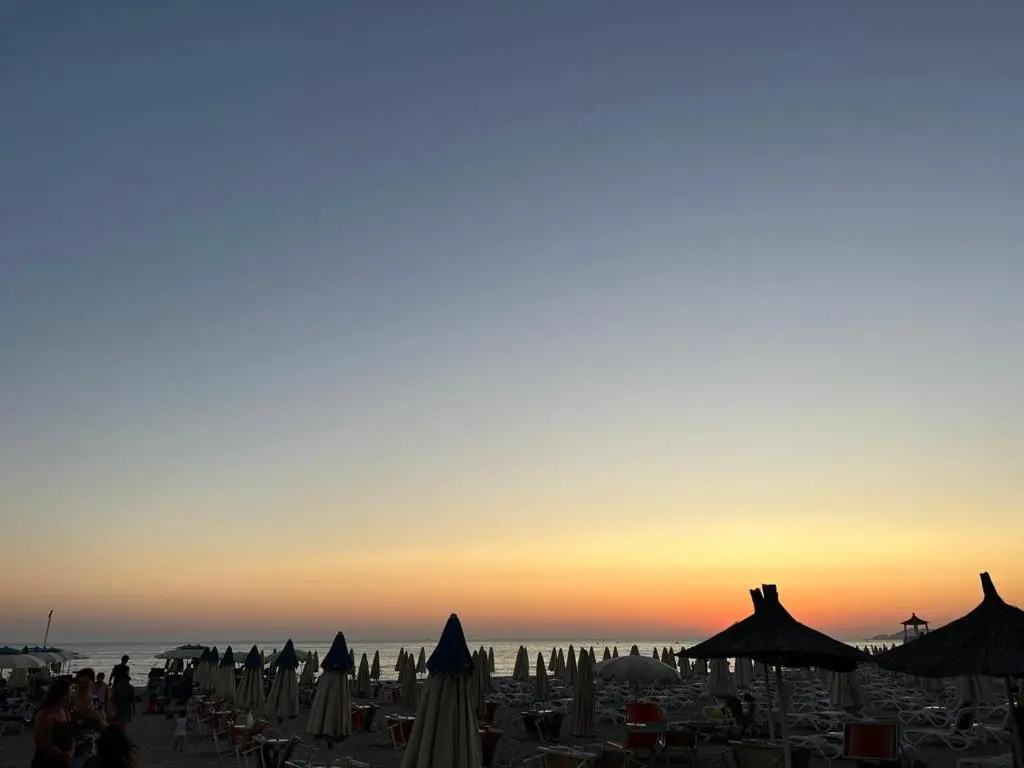 img_id_1679251.webp