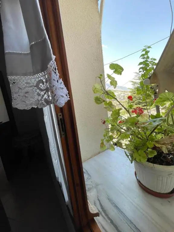 img_id_590607.webp
