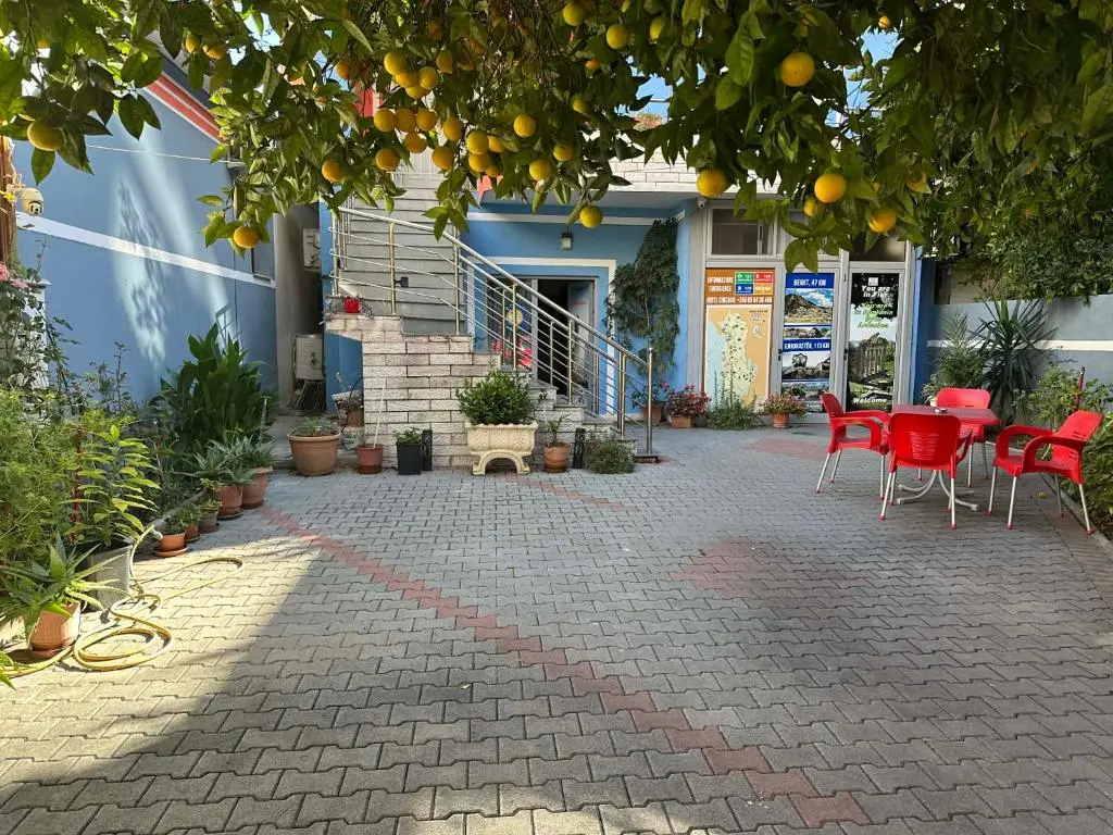 img_id_966729.webp