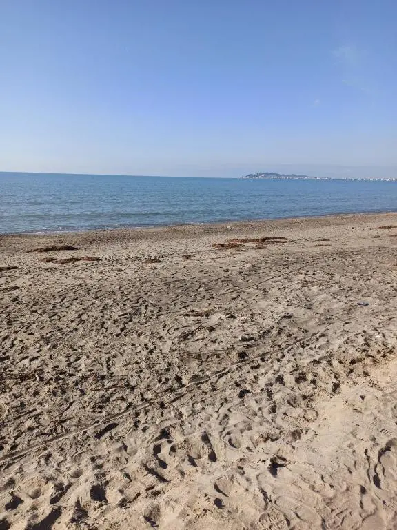img_id_1337259.webp