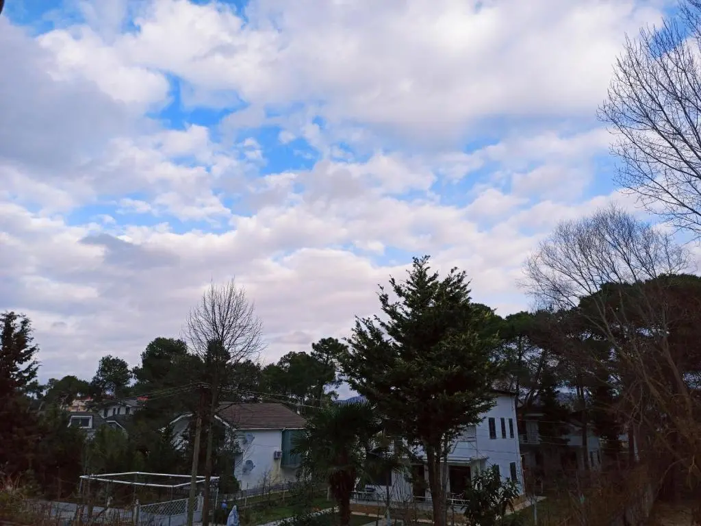 img_id_1337310.webp