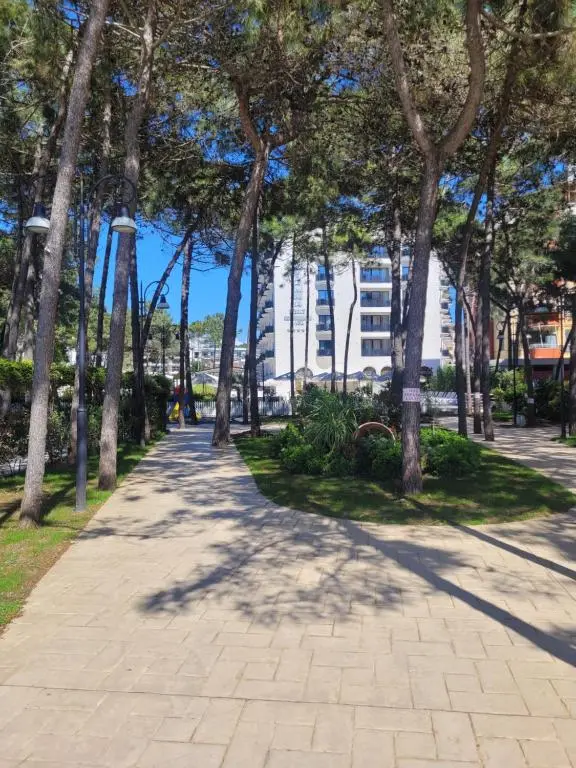 img_id_1657915.webp