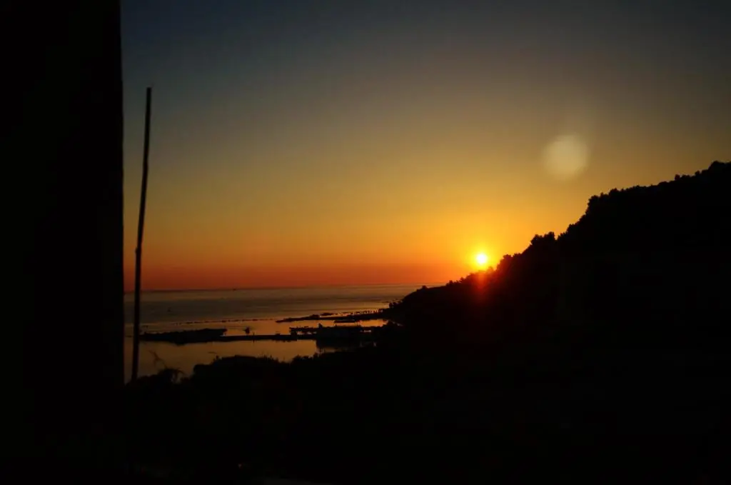 img_id_1647146.webp