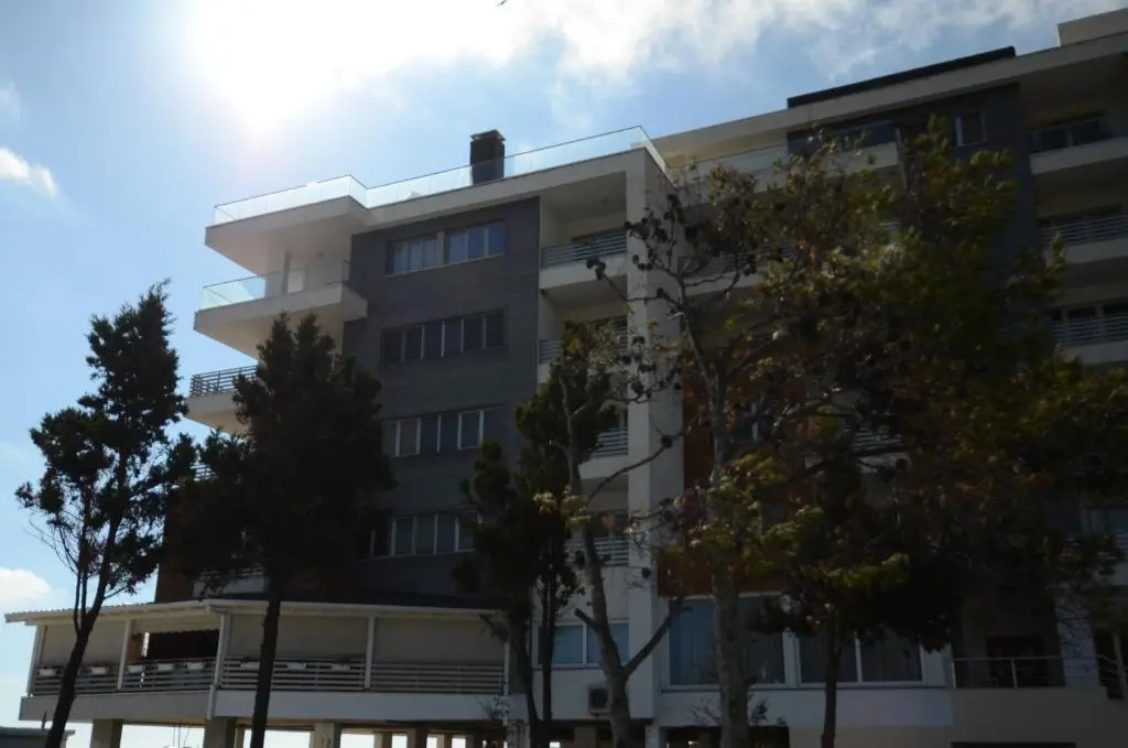 img_id_1647173.webp