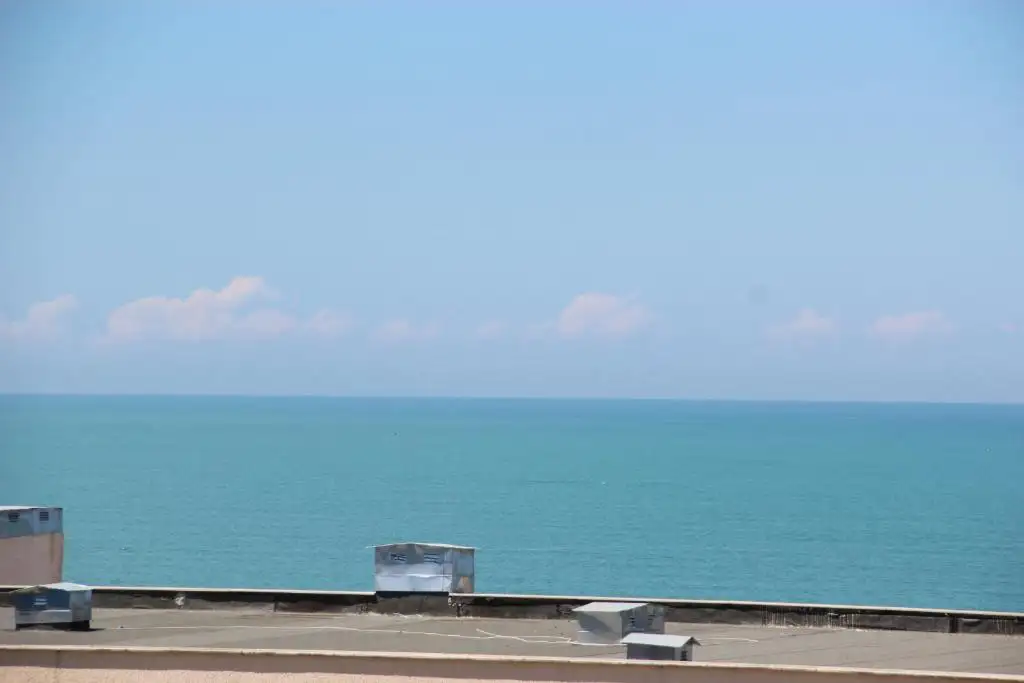 img_id_596349.webp