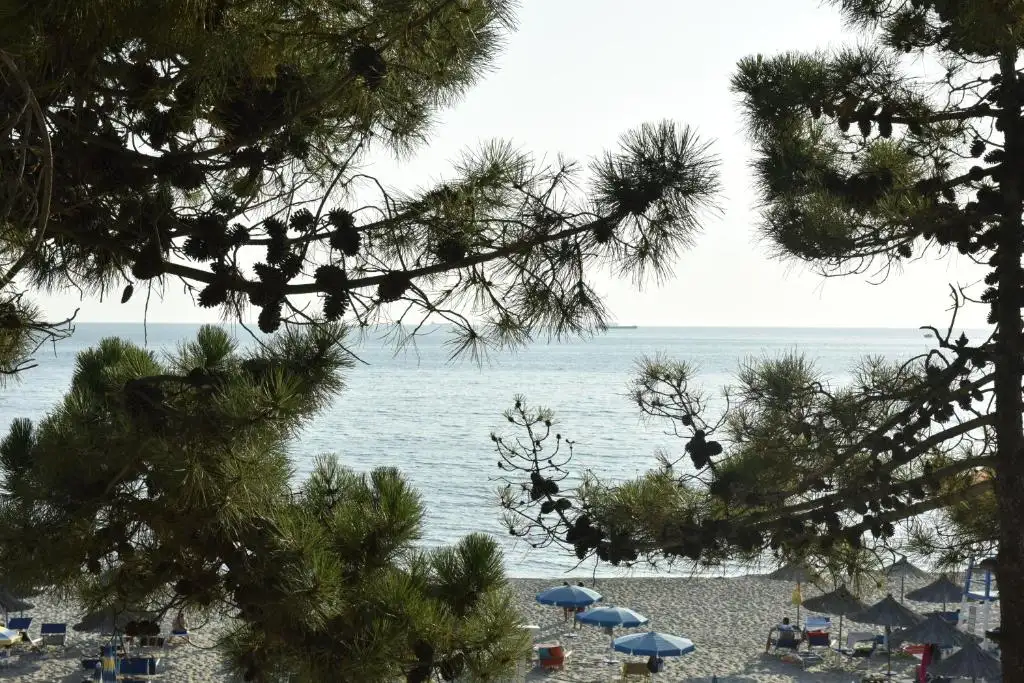 img_id_596992.webp