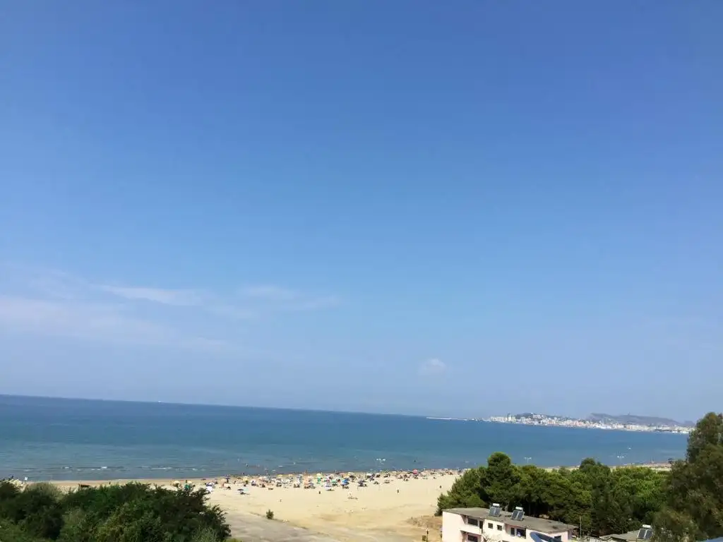 img_id_597257.webp