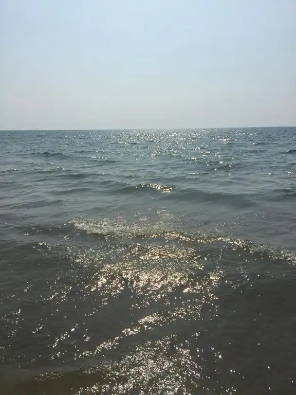 img_id_597276.webp