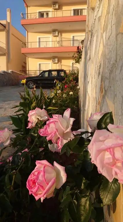 img_id_597442.webp