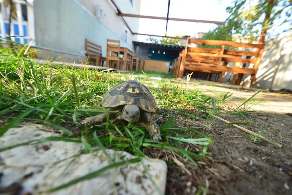 img_id_547932.webp