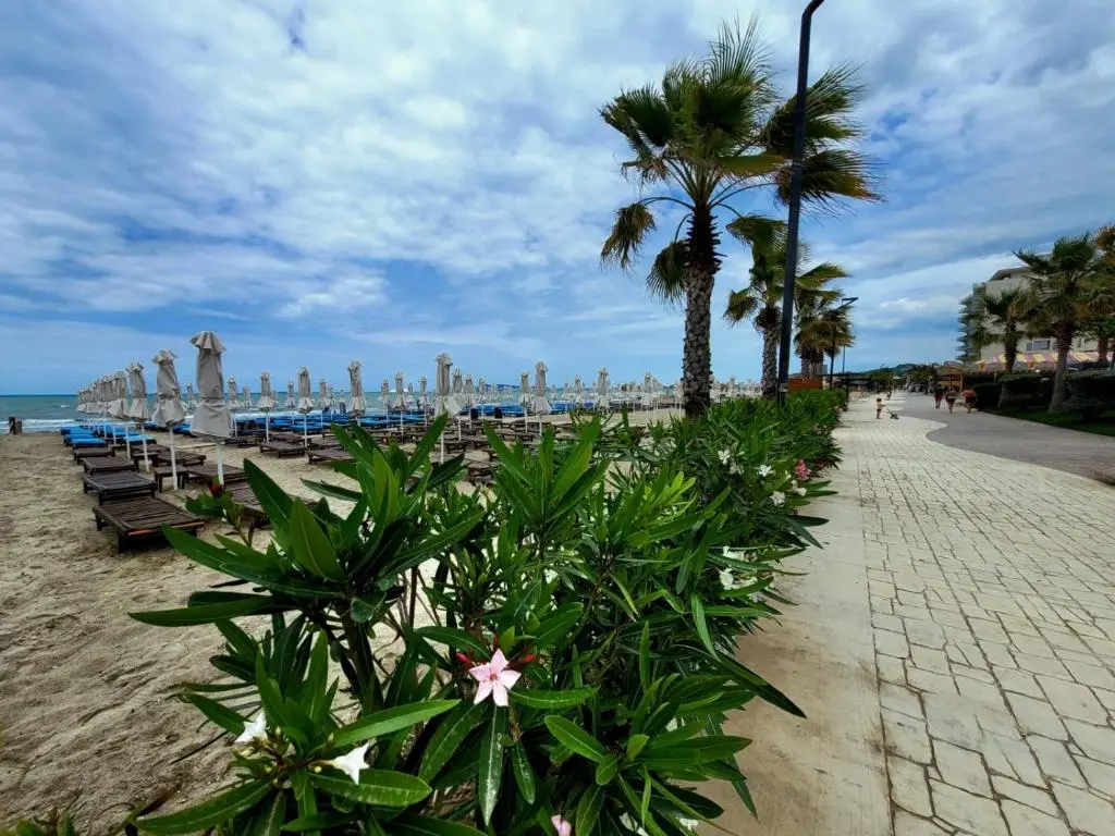img_id_1109407.webp
