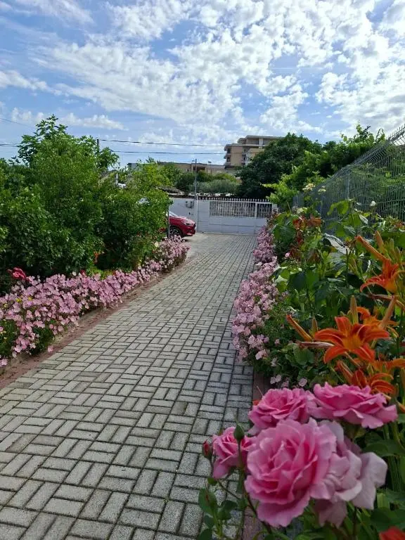 img_id_920872.webp