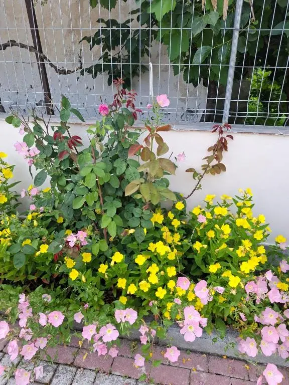 img_id_920873.webp