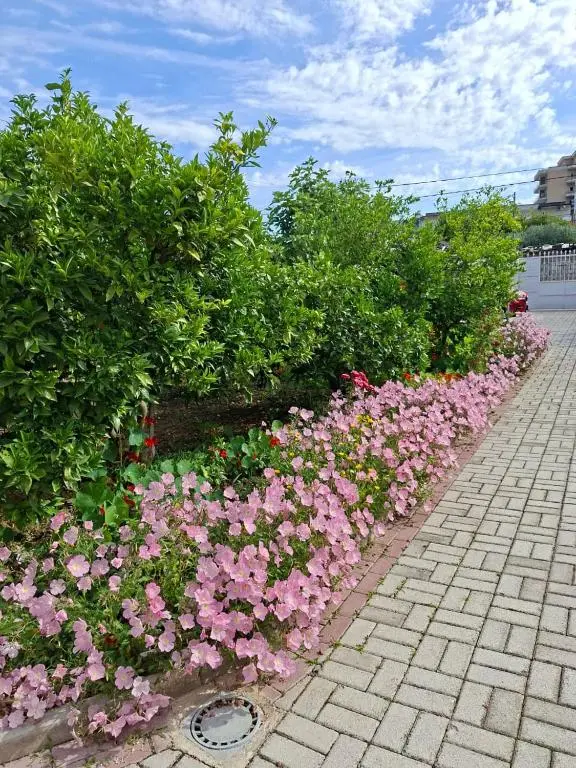 img_id_920878.webp