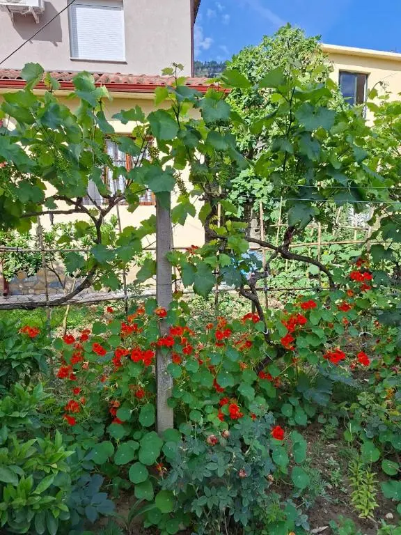 img_id_920881.webp