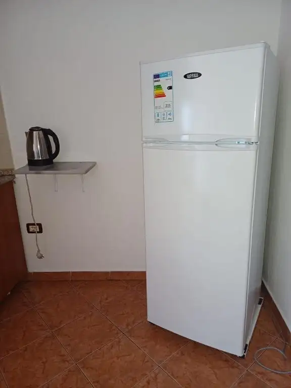 img_id_552641.webp