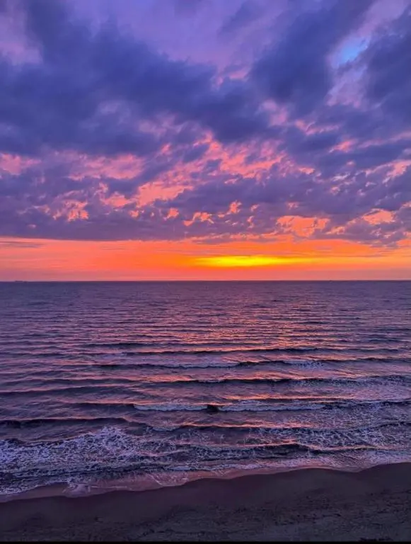 img_id_1677608.webp