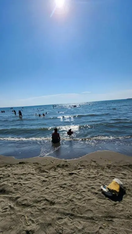 img_id_1730310.webp