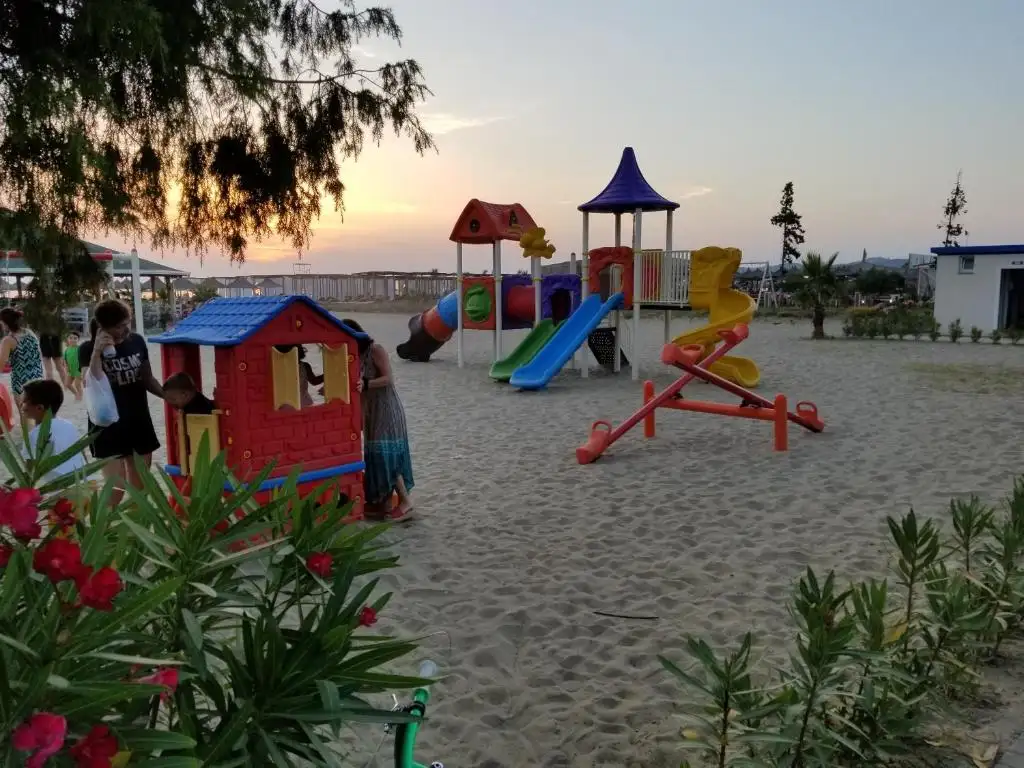 img_id_559040.webp