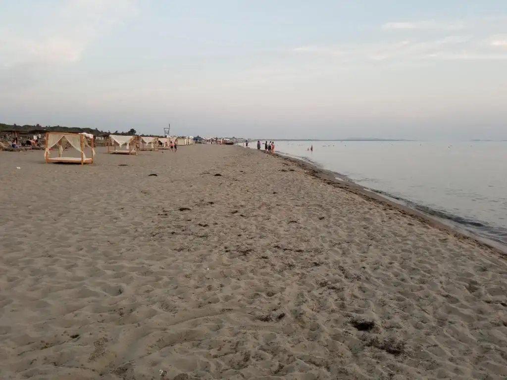 img_id_559045.webp