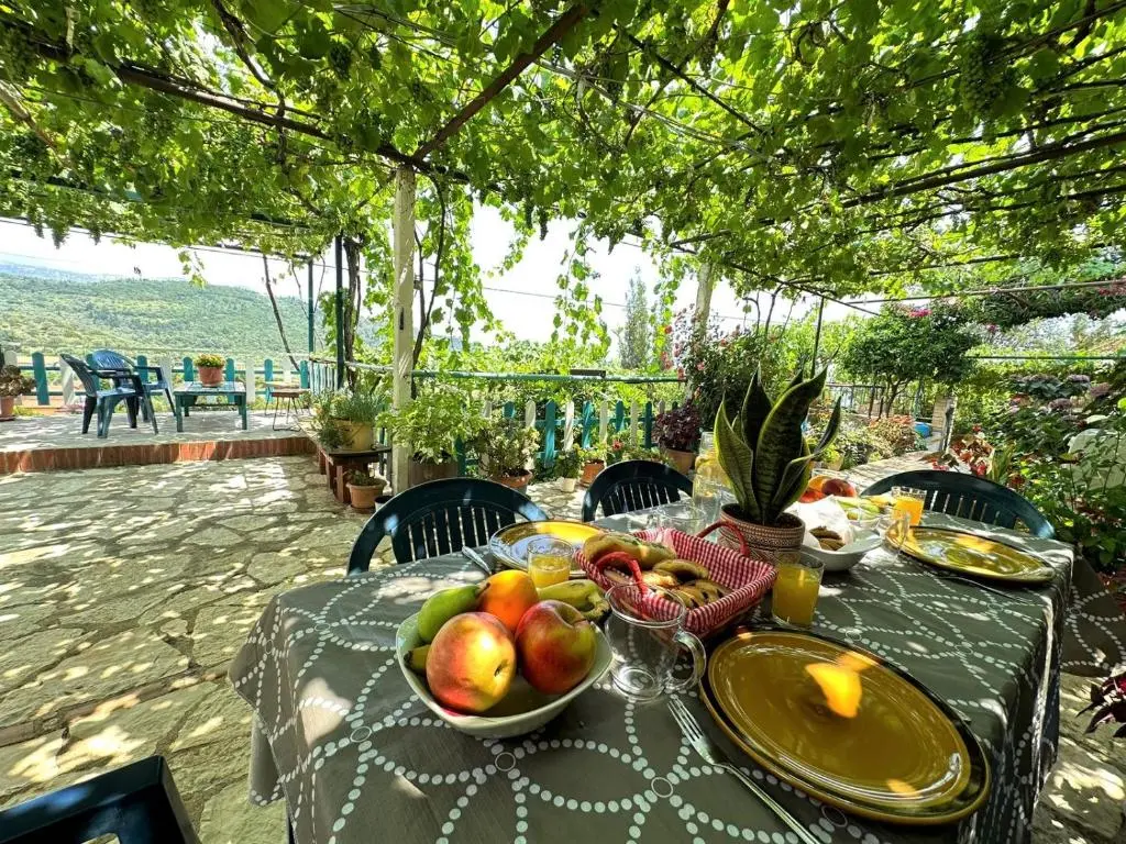 img_id_1655921.webp