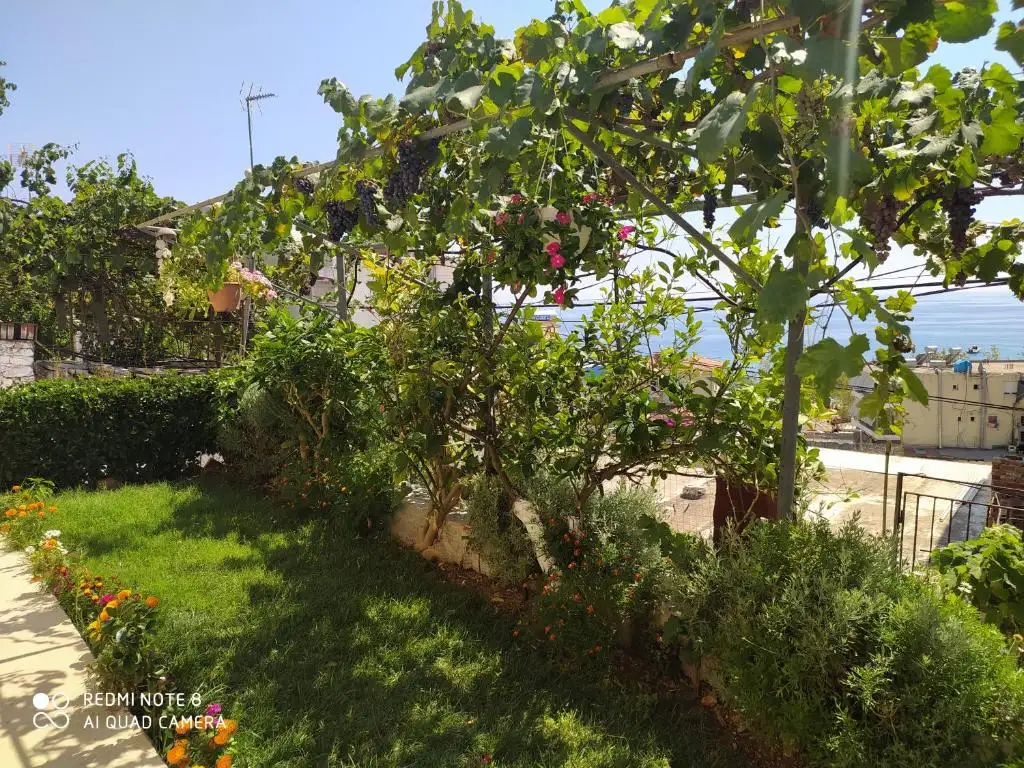 img_id_560441.webp