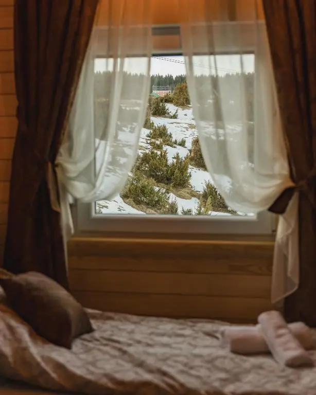 img_id_2443011.webp