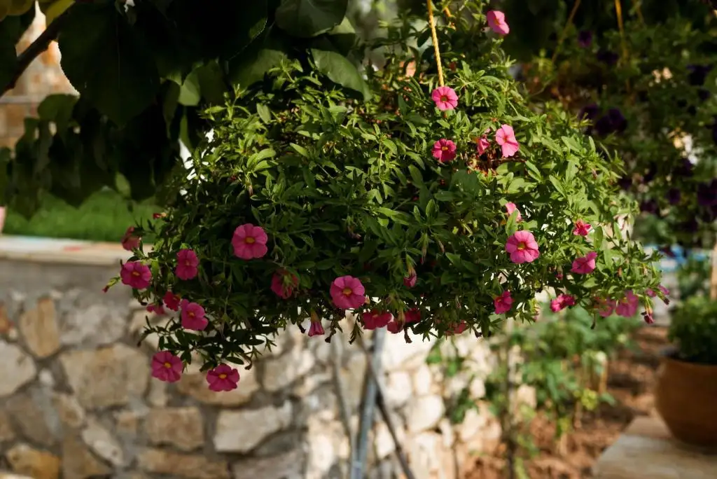 img_id_562196.webp