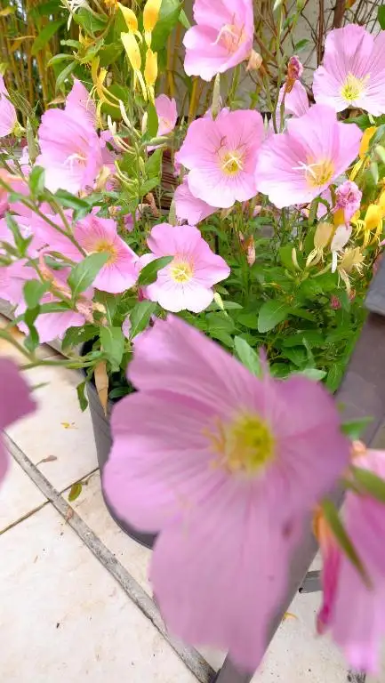 img_id_563741.webp