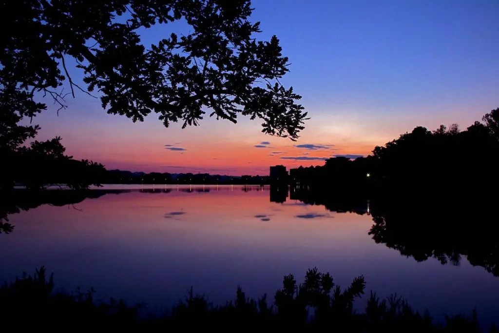 img_id_1275081.webp
