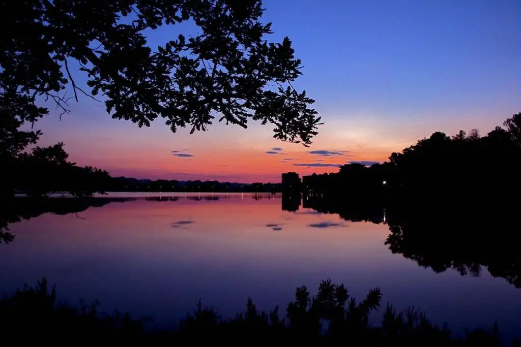 img_id_565530.webp