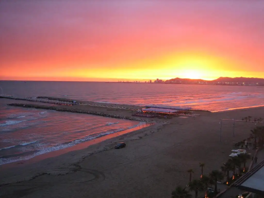 img_id_568311.webp