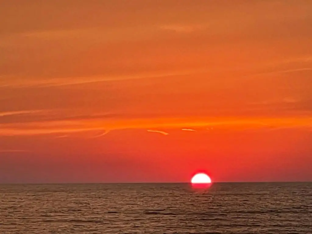 img_id_1653470.webp