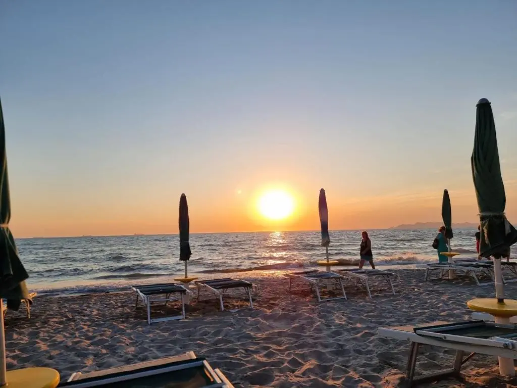 img_id_1669431.webp