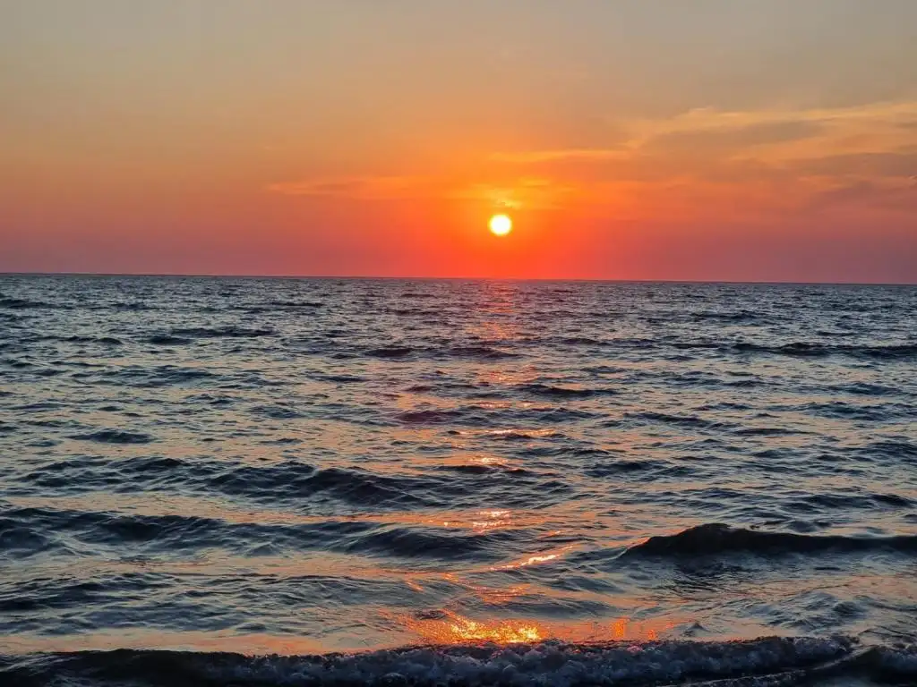 img_id_572491.webp